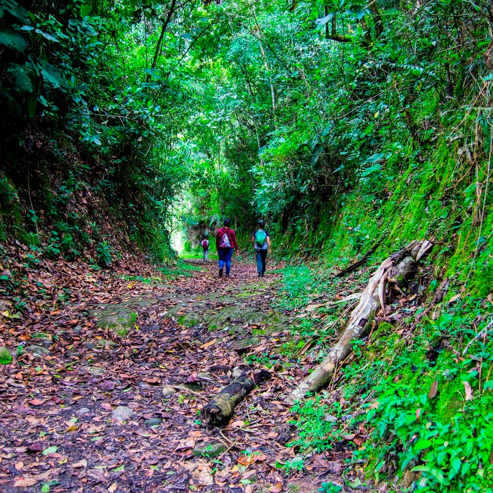 Fachada Finca Campestre