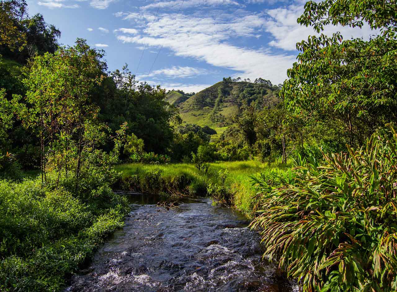 Paisaje Natural Santa Rita