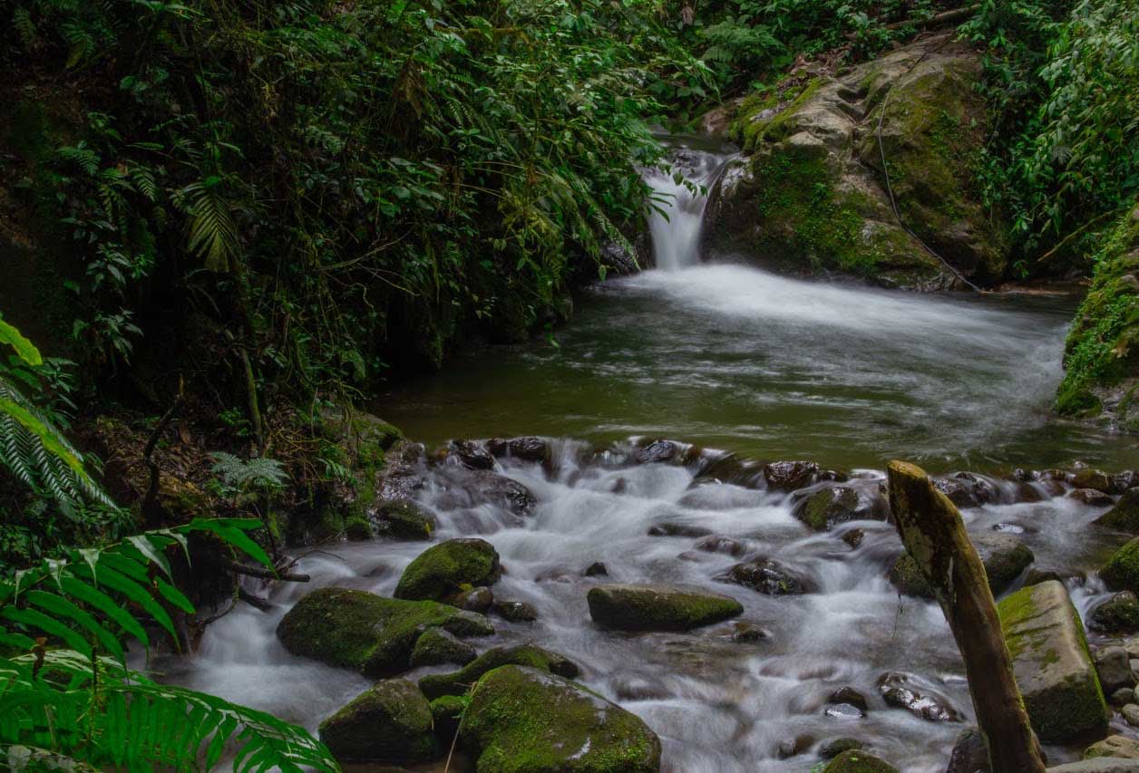Río Quindío