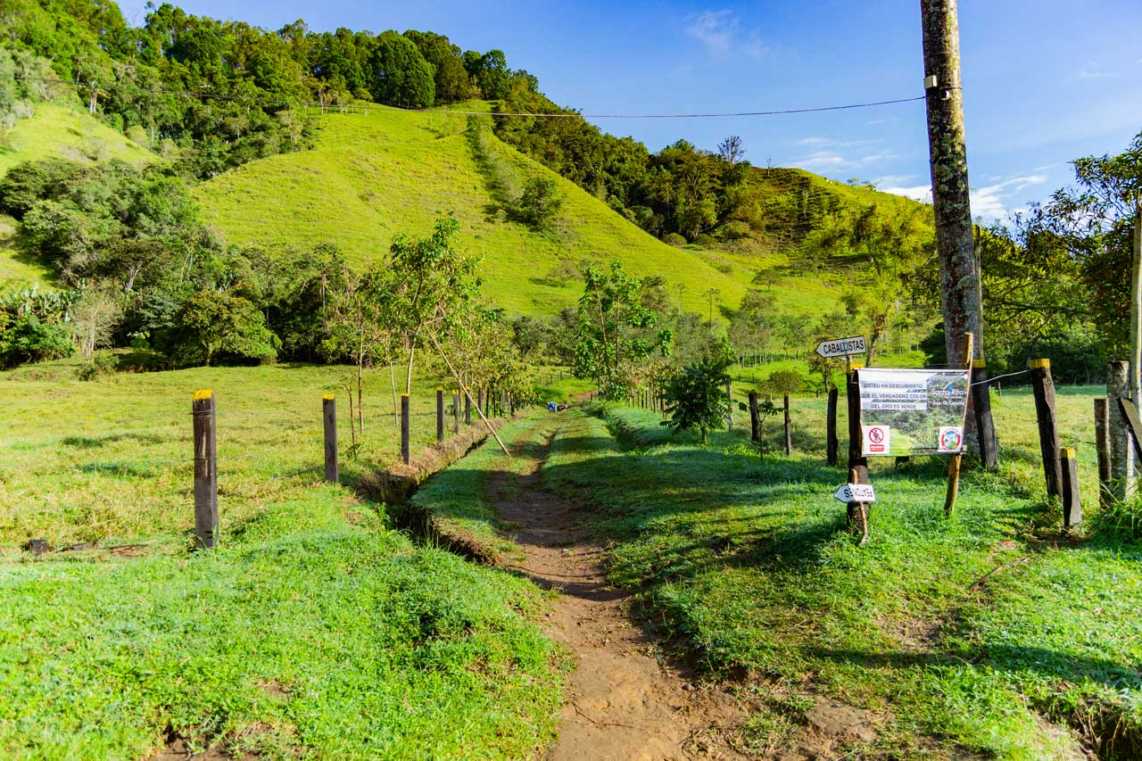 Sendero Reserva Santa Rita